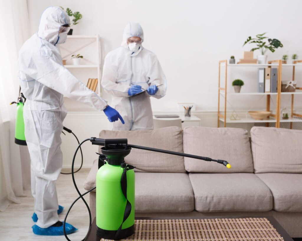 disinfection services